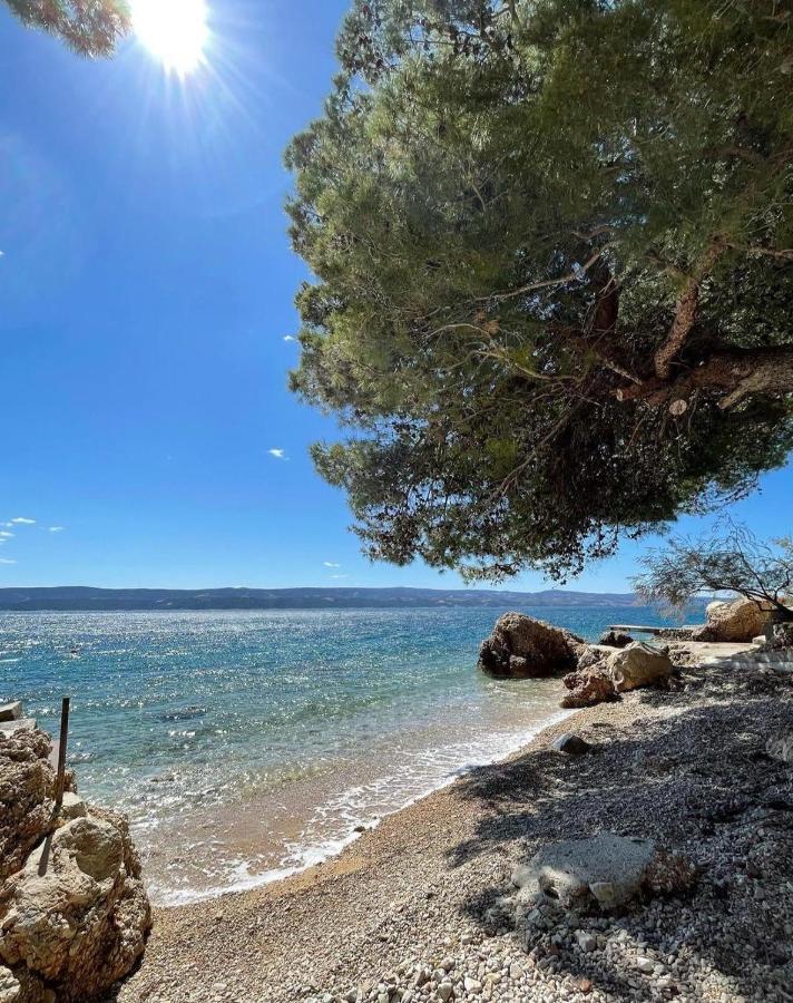 Villa Horizon Stanici Exteriér fotografie